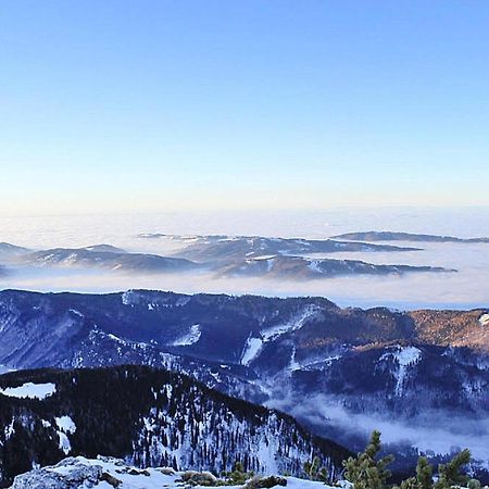 Feriendorf Am Feuerkogel, Ebensee Exteriér fotografie